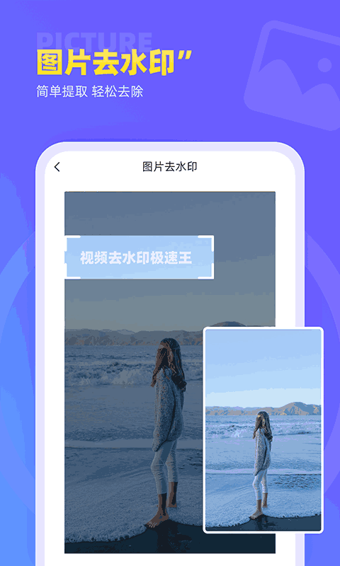 视频去水印极速王