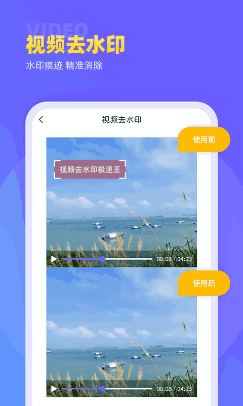 视频去水印极速王